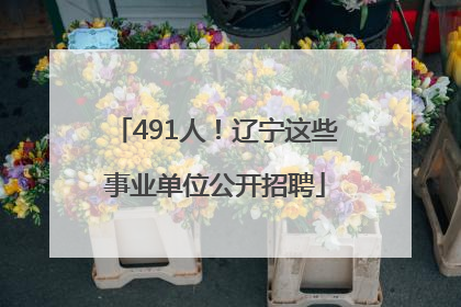 491人！辽宁这些事业单位公开招聘