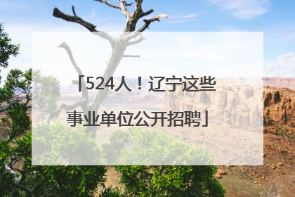 524人！辽宁这些事业单位公开招聘