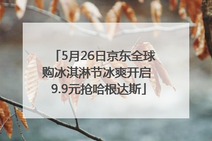 5月26日京东全球购冰淇淋节冰爽开启 9.9元抢哈根达斯