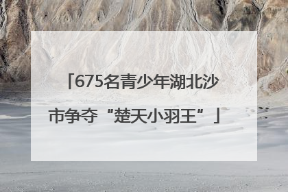 675名青少年湖北沙市争夺“楚天小羽王”