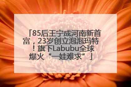 85后王宁成河南新首富，23岁创立泡泡玛特！旗下Labubu全球爆火“一娃难求”