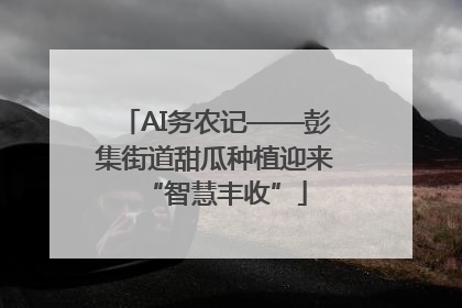 AI务农记——彭集街道甜瓜种植迎来“智慧丰收”