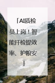 AI质检员上岗！智能扦检提效率、护粮安