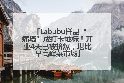 Labubu样品“痛墙”成打卡地标！开业4天已被挤爆，堪比早高峰菜市场