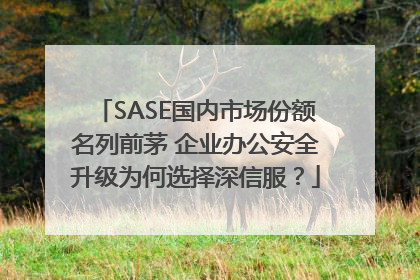 SASE国内市场份额名列前茅 企业办公安全升级为何选择深信服？