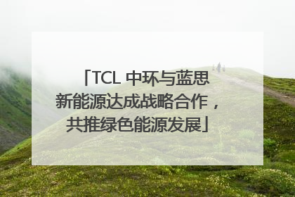 TCL 中环与蓝思新能源达成战略合作，共推绿色能源发展
